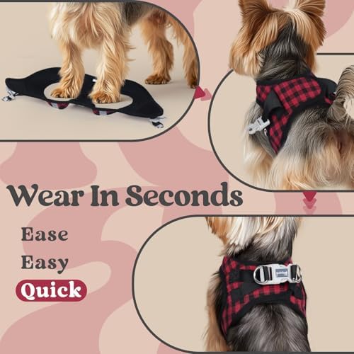 rabbitgoo Step-in Small Dog Harness, Puppy Vest - Image 5