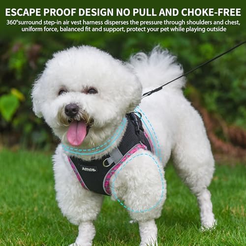 AIITLE Teacup Puppy Harness - Image 4