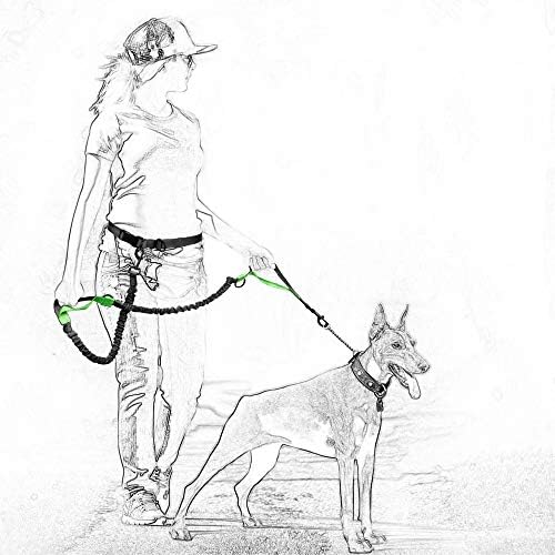 Mile High Life Hands Free Leash, Waist Leash - Image 4