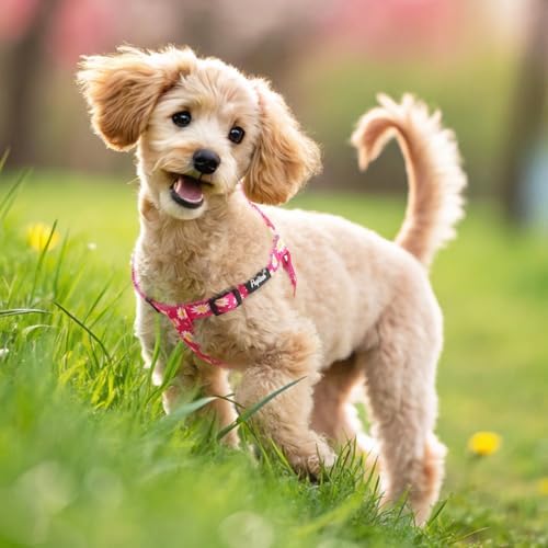 PUPTECK No Pull Dog Harness Small Sized Step-in Adjustable Puppy Vest - Image 6