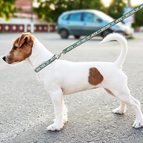 Pets First NFL Pet Leash - Image 5