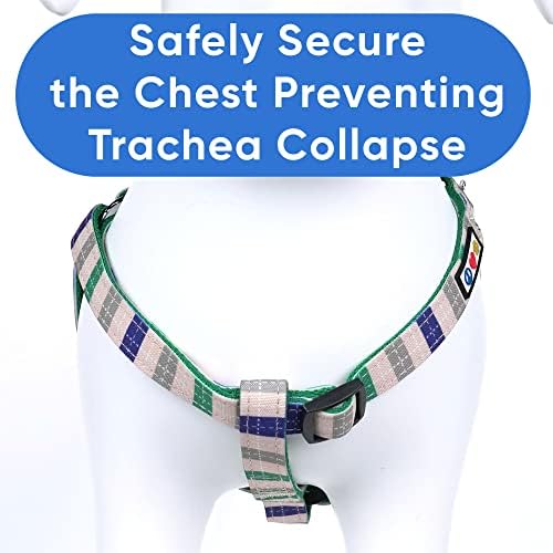 Pawtitas Multicolor Step-in Dog Harness – Adjustable No-Pull Vest - Image 4