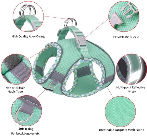 AIITLE Teacup Puppy Harness and Leash Set Escape-Proof, Turquoise S - Image 5
