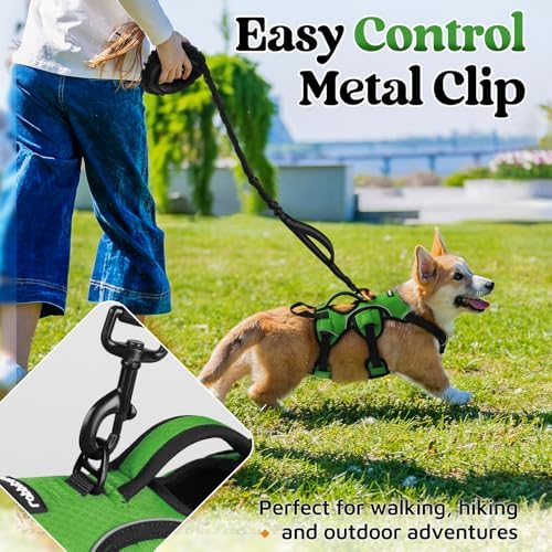 rabbitgoo Escape Proof Dog Harness - Image 5