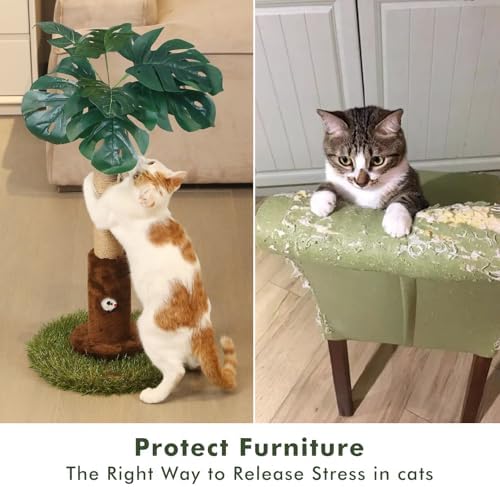 Woochpet 25" Kitten Scratching Post, sisal cat Scratcher Tree - Image 6