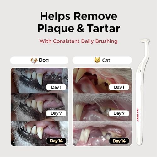 JAYU PET Dental Care Brush 3ea - Image 2