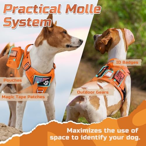 rabbitgoo Tactical Dog Harness for Small, No Pull Military Service Vest - Image 3