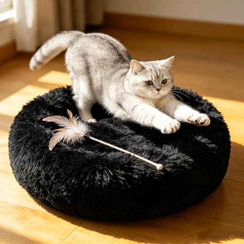 Cat Beds for Indoor Cats by Unknown
