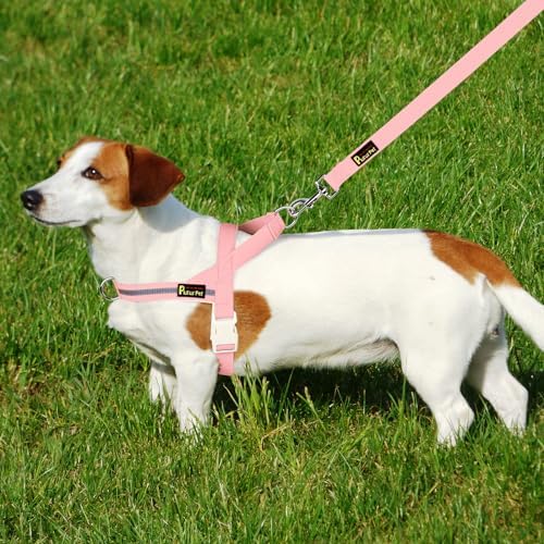 Plutus Pet Cotton Dog Harness and Leash Set, Reflective and Soft Padded - Image 6
