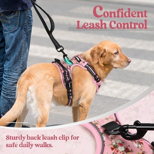 rabbitgoo Dog Harness, No Pull for Small Dogs - Image 6