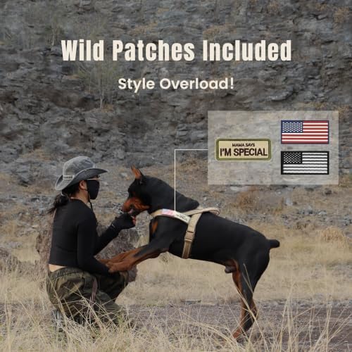 Forestpaw No Pull Dog Harness - Image 5