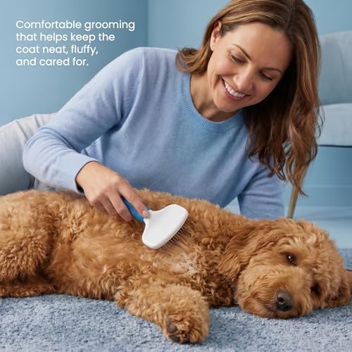 Poodle Pet Slicker Brush - Image 2