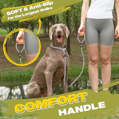 Fida Durable Slip Lead Dog Leash, 6 FT x 1/2" Dog Training Leash - Image 6