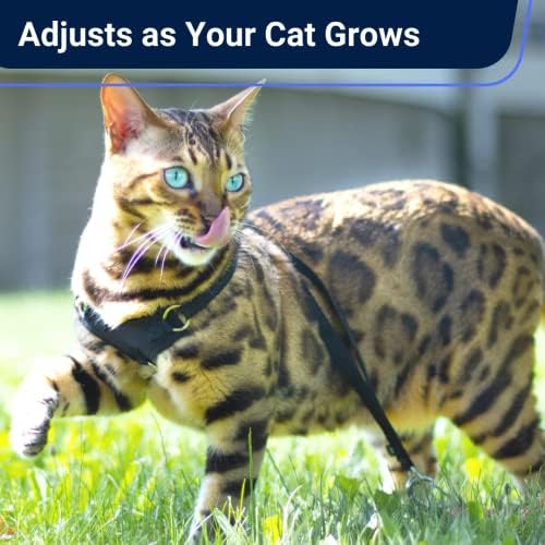 OutdoorBengal Houdini™ Escape Proof Cat Harness and Leash - Image 5