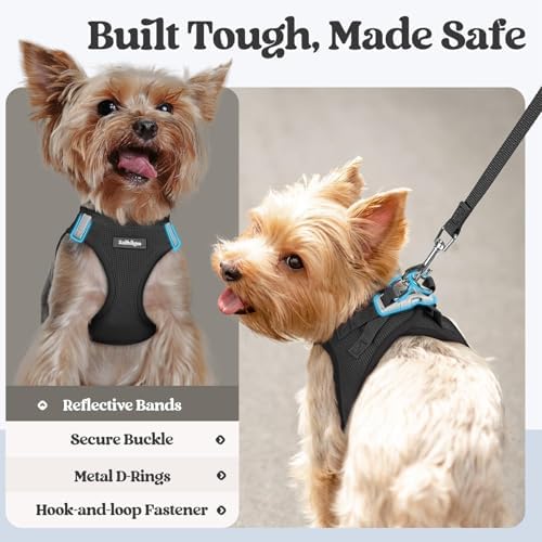 rabbitgoo Dog Harness Medium Sized and Leash Set, Step-in Puppy Pet Vest - Image 5