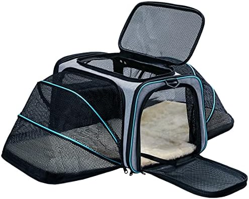 Cat Dog Carrier by TDHDIKE