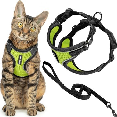 Voyager Escape-Proof Step-in Cat Harness & Leash by BestPetSuppliesLLC