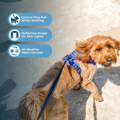 Voyager Dog Harness Dual Leash Attachment No-Pull Control Adjustable Soft but - Image 2