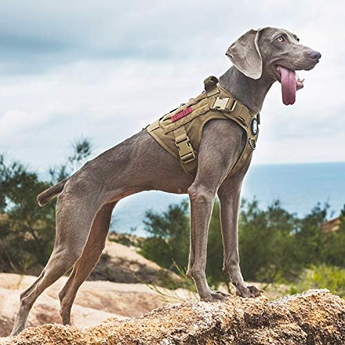 OneTigris Tactical Dog Harness - Image 4