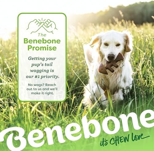 Benebone 2-pack Fishbone/Wishbone Durable Dog Chew Toys, Dog Bones - Image 6