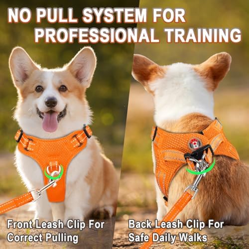 BARKBAY Small Dog Harness, No Pull Puppy Harness, Step-in Dog Vest - Image 5