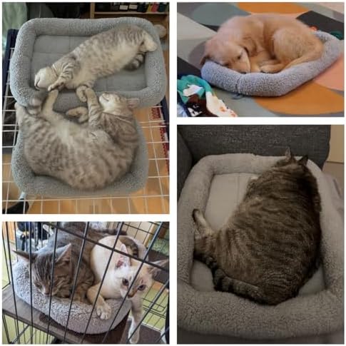 LESYPET Cat Bed for Indoor Cats, Cat Bed Curl Sleep Cushion - Image 2