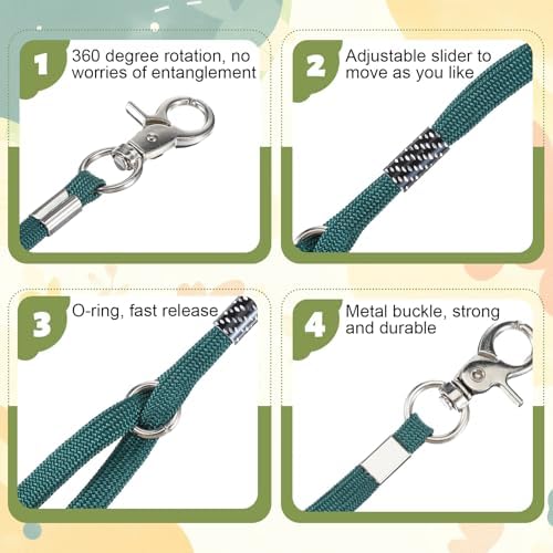 Pet Dog Grooming Loop - Image 4