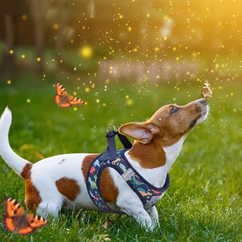 KOOLTAIL Dog Harness and Leash Set - Image 6