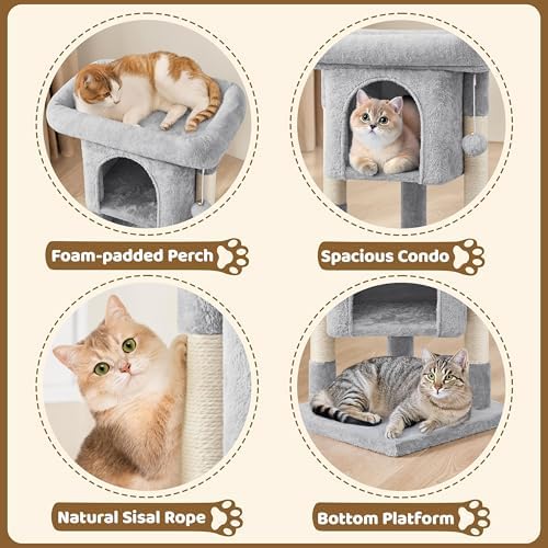 Yaheetech 23.5in Small Low-Profile Cat Tree Condo - Image 4