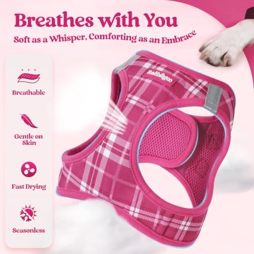 rabbitgoo Dog Harness Small Sized and Leash Set, Step-in Puppy Pet Vest - Image 4