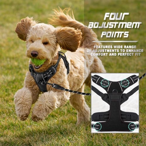 BARKBAY Dog Harness No Pull for Small Sized Dog Front Back Clips, Dog Vest - Image 6