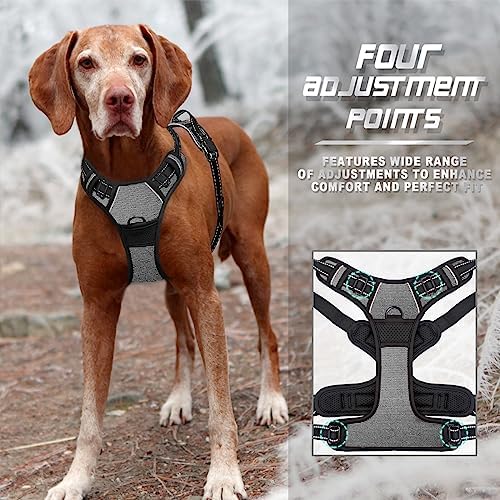 BARKBAY Dog Harness No Pull for Medium Sized Dog Front Back Clips, Dog Vest - Image 6
