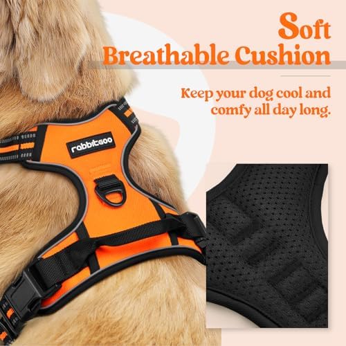 rabbitgoo Dog Harness, No Pull Medium Sized - Image 2