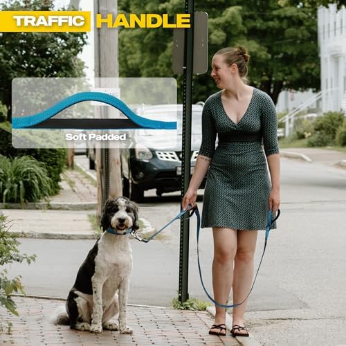 Fida 10 FT Heavy Duty Dog Leash, Dual Padded Handles - Image 4
