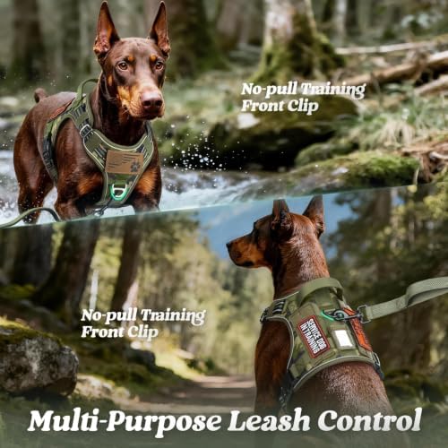 rabbitgoo Tactical Dog Harness for Small Dogs, No Pull Service Pet Vest - Image 3
