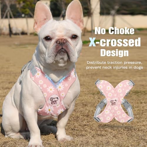 Pawaboo Small Dog Harness and Leash Set, Puppy Harness X-Frame Adjustable - Image 3