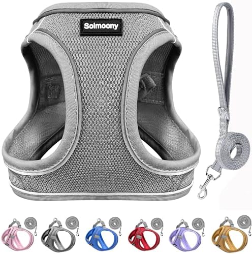 Solmoony Sparkly Medium Dog Harness and Leash Set, Step in Soft Light Puppy Vest by SOLMOONY