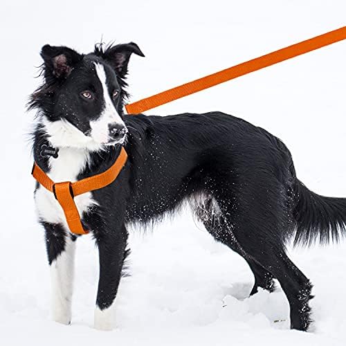 No Pull Dog Harness, Leash & Collar Set, Adjustable Step-in Vest - Image 5