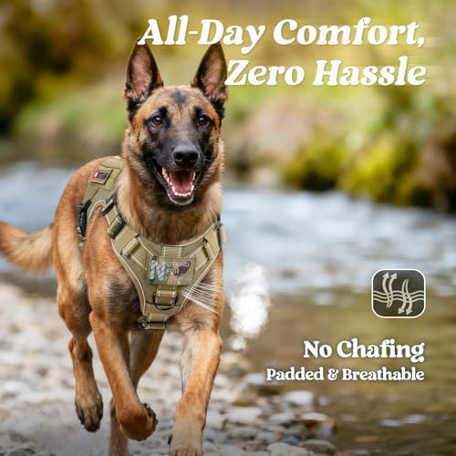 rabbitgoo Tactical Dog Harness X-Large, Heavy Duty Military No Pull Vest - Image 6