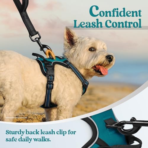 rabbitgoo Dog Harness, No Pull for Small Dogs - Image 6