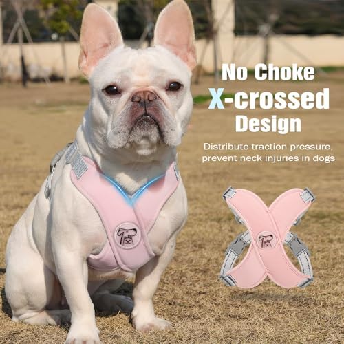Pawaboo Small Dog Harness and Leash Set, Puppy Harness X-Frame Adjustable - Image 3