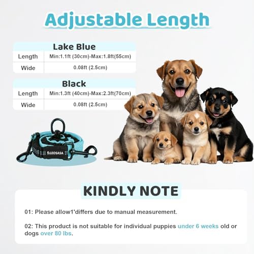 Double Dog Leash - Image 2