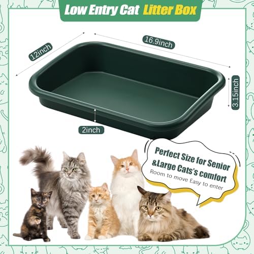 Uiifan 3Pcs Large Low Entry Cat Litter Box, Dark Green - Image 2