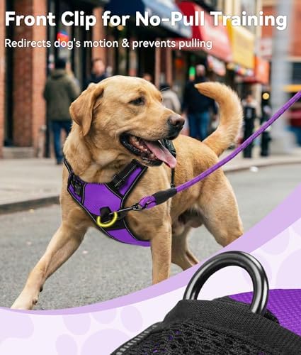 Joytale No Pull Dog Harness for Extra Large Dogs, Front Clip - Image 2