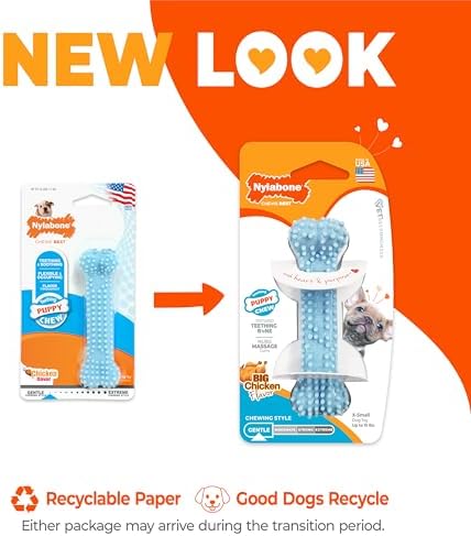 Nylabone Puppy Chew Blue Textured Teething Dog Bone - Image 4