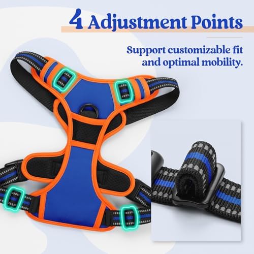 rabbitgoo Dog Harness, No Pull Medium Sized - Image 4