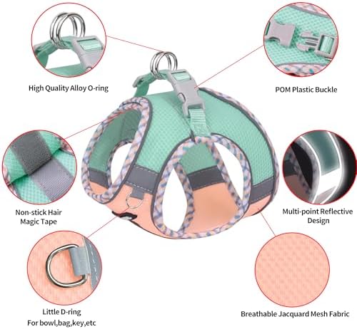 AIITLE Teacup Puppy Harness and Leash Set Escape-Proof, Turquoise-Pink S - Image 3