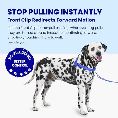 No Pull Dog Harness Front Clip - Image 2