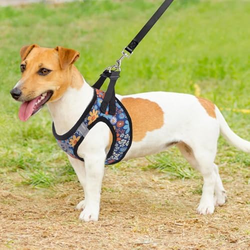 KOOLTAIL Dog Harness and Leash Set - Image 6