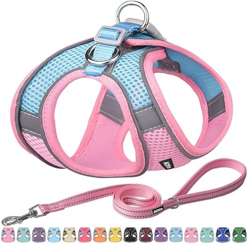 AIITLE Small Dog Harness and Leash Set, Step-in Puppy Pet Vest by AIITLE-FORPETSBETTERLIFE